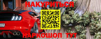 стаф Новодвинск