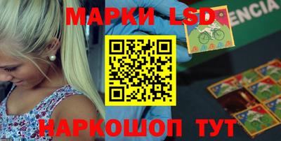 стаф Новодвинск