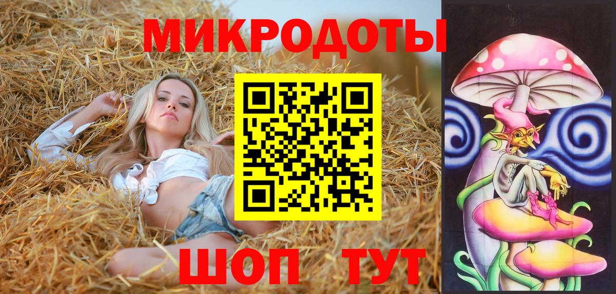 Псилоцибиновые грибы Psilocybine cubensis Сургут