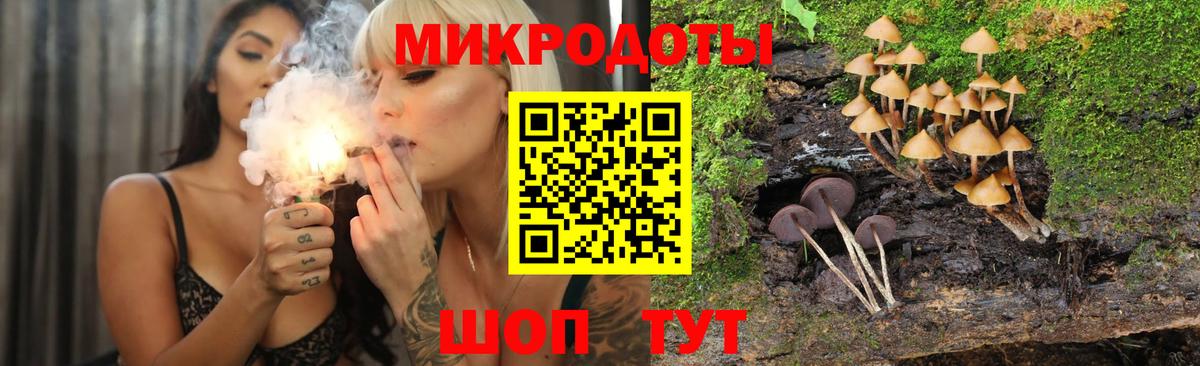 Псилоцибиновые грибы Magic Shrooms  Вход с VPN  Сургут 