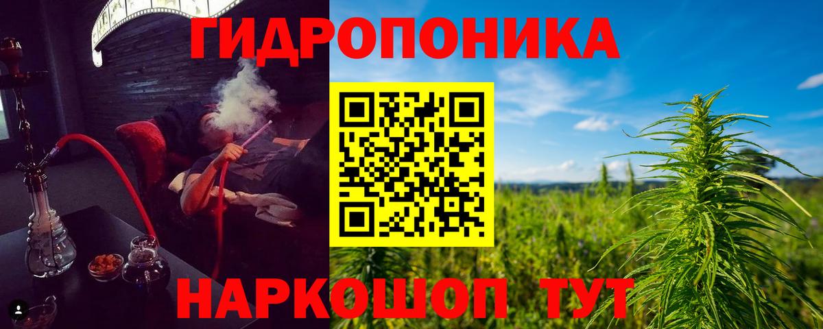 Сургут  Шишки марихуана конопля  Канабис план  Вход с VPN  Марихуана марихуана  Канабис Bruce Banner 