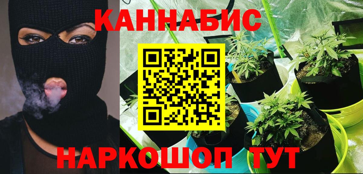 Конопля MAZAR Сургут